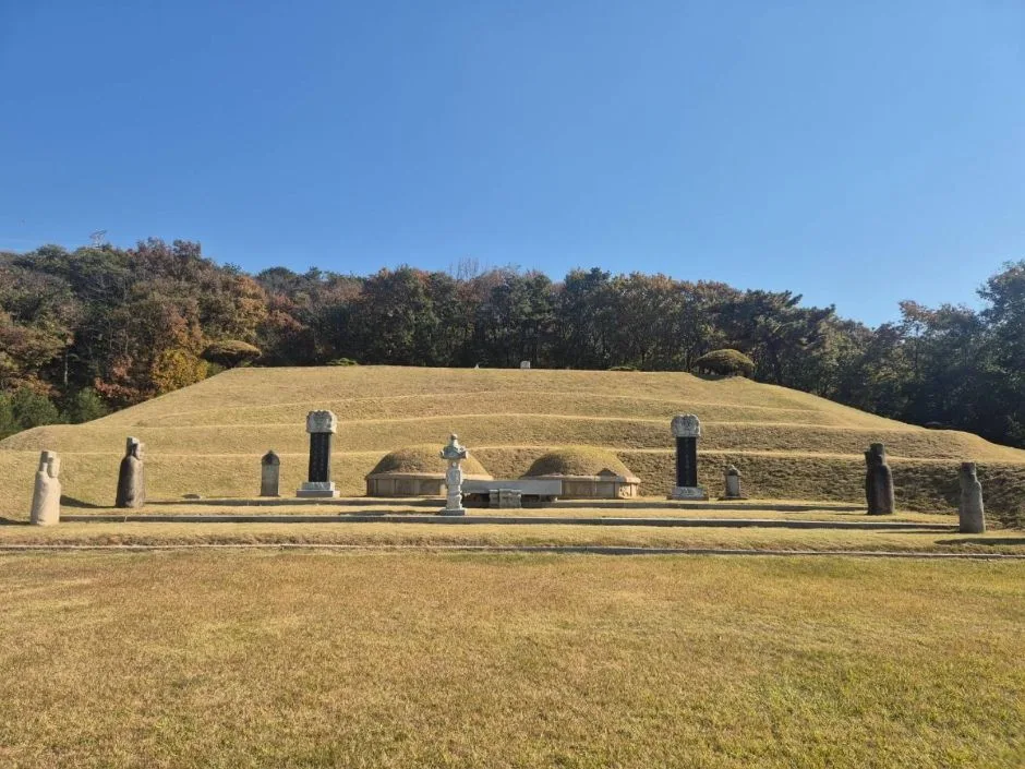 241108_고양_성령대군묘_묘지에서 바라본 풍경