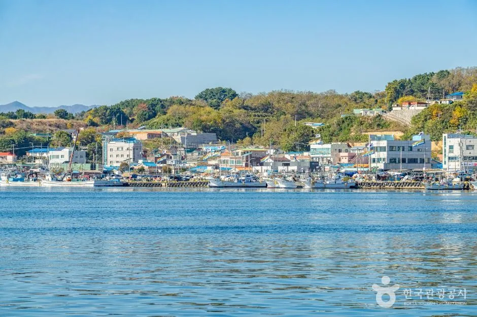 울진_죽변항 (11)