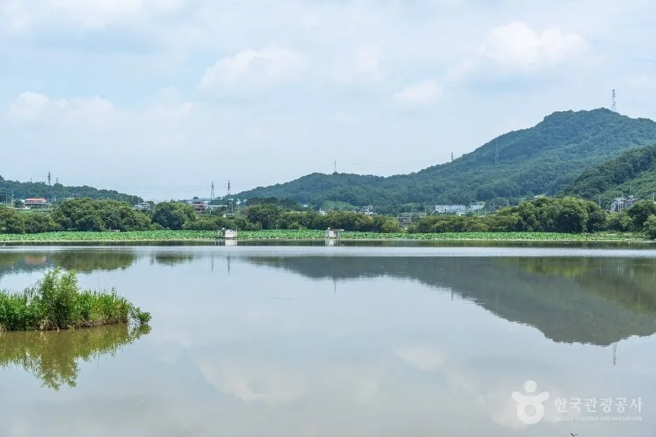아산_월랑저수지 (6)