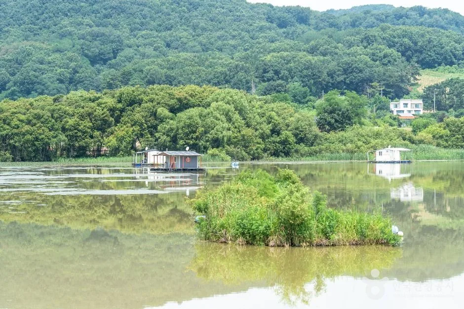아산_월랑저수지 (5)