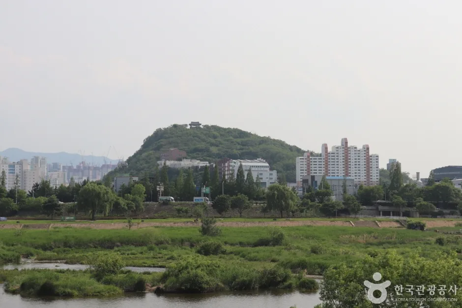 침산공원 (8)