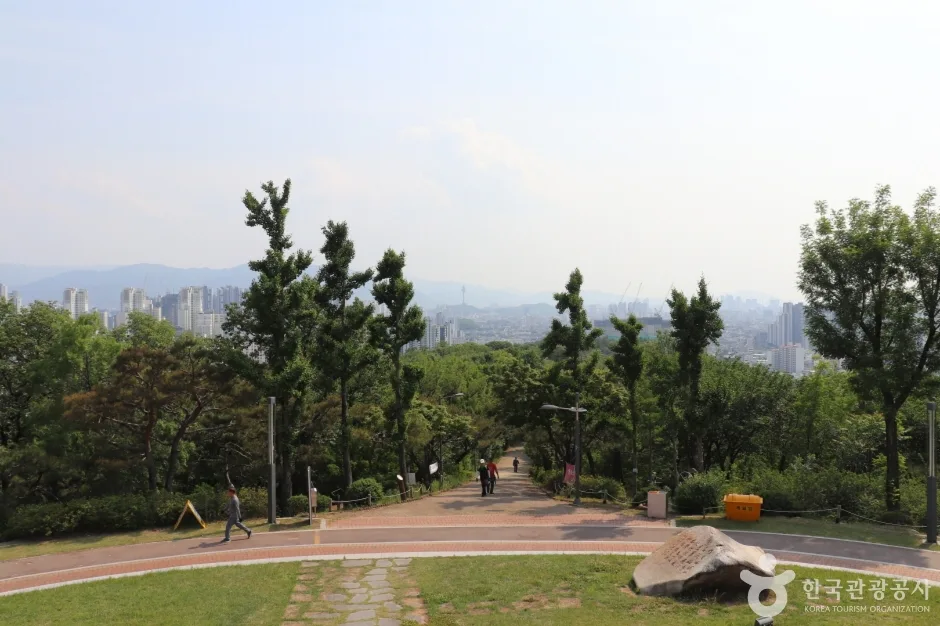 침산공원 (11)