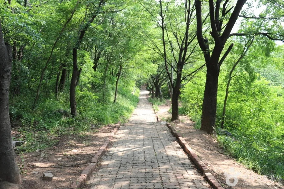 침산공원_수영장