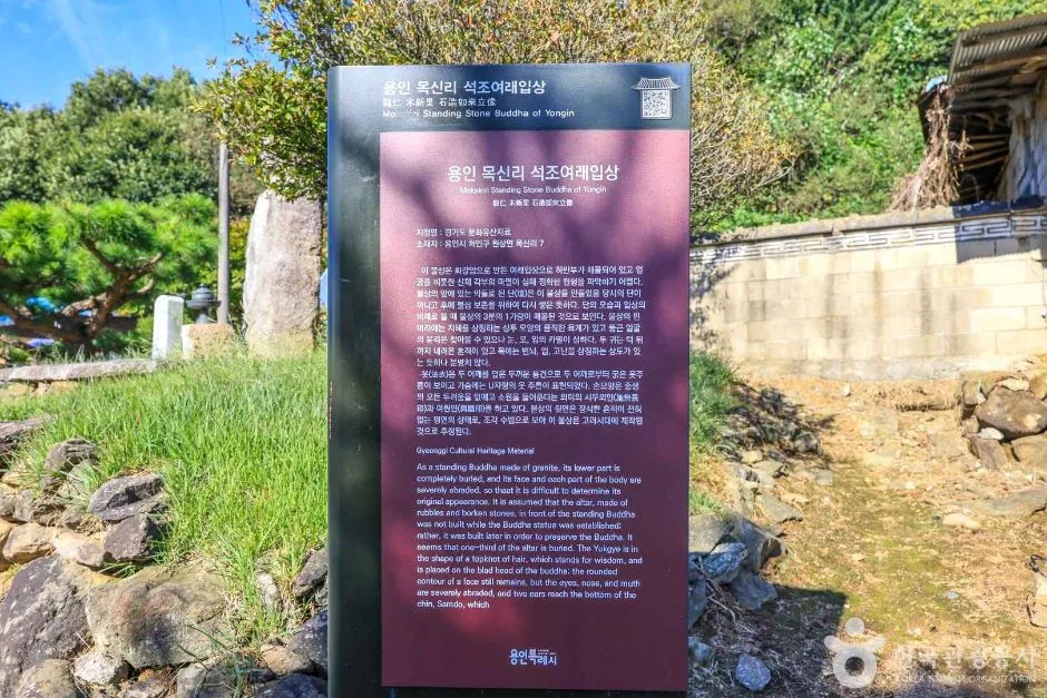 경기_용인_원삼면 목신리 석조여래입상 (7)