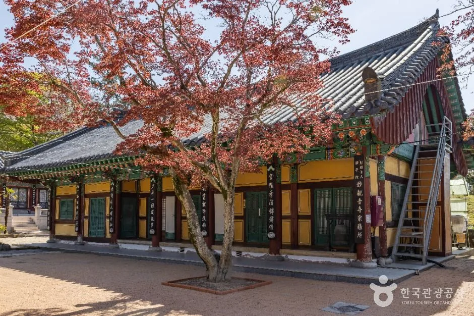 부산_묘관음사 (4)
