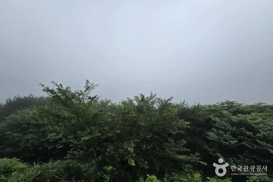거린사슴전망대 (9)