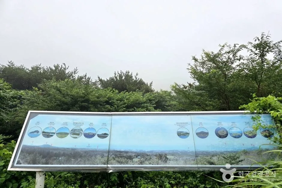 거린사슴전망대 (6)
