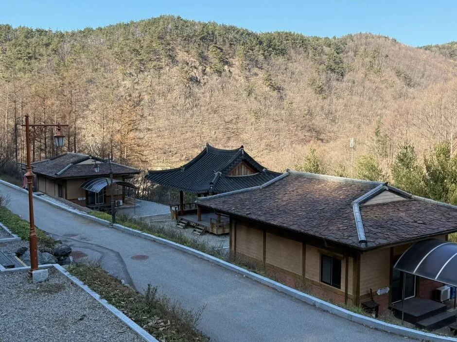 보은_충북알프스자연휴양림 (2)