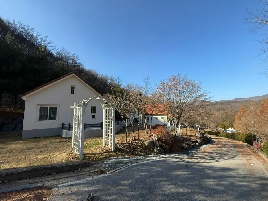 보은_충북알프스자연휴양림 (6)