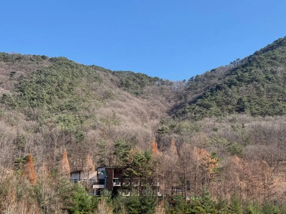보은_충북알프스자연휴양림 (3)