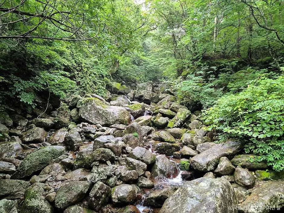 함양_한신계곡 (4).jpg