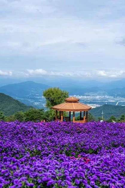 거창_거창 별바람언덕 (3).jpg