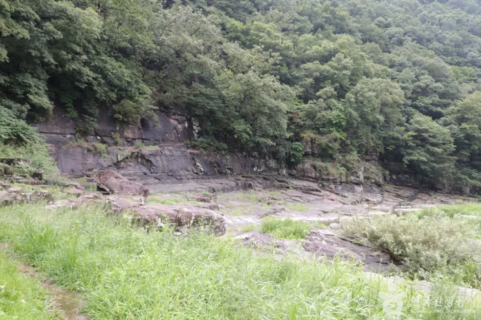천전리 공룡발자국 화석_035