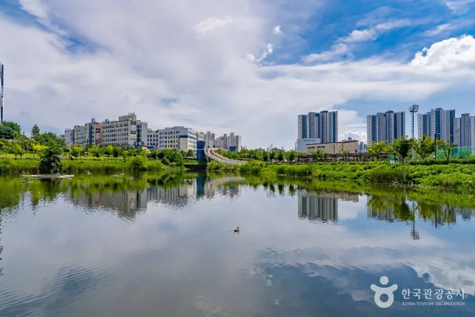 화성_선납숲공원 (2)