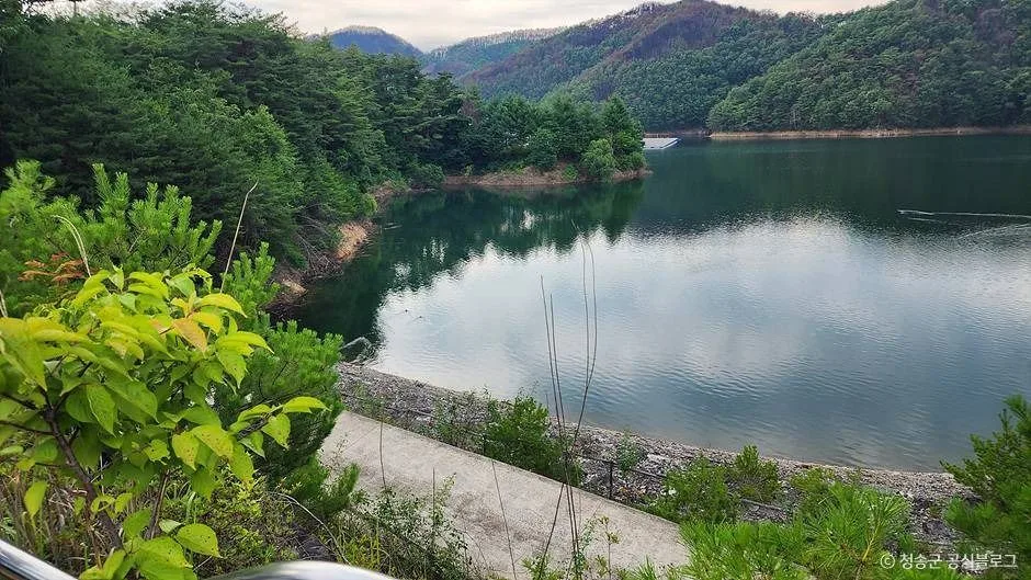 청송_파천 구상화강암 (청송 국가지질공원) (5)
