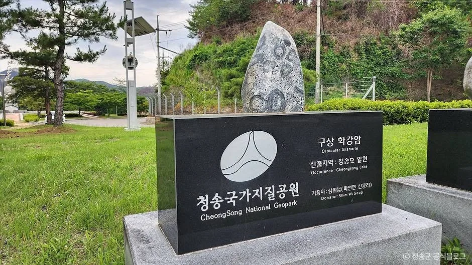 청송_파천 구상화강암 (청송 국가지질공원) (2)