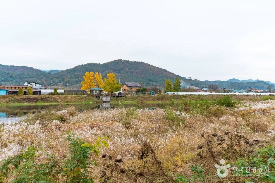 논산_병암유원지 (5)
