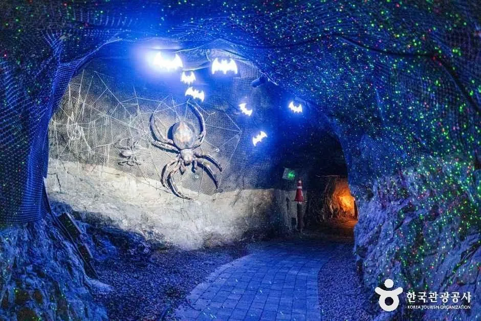 충북_옥천_장령산자연휴양림 숲속동굴_내부_2.jpg