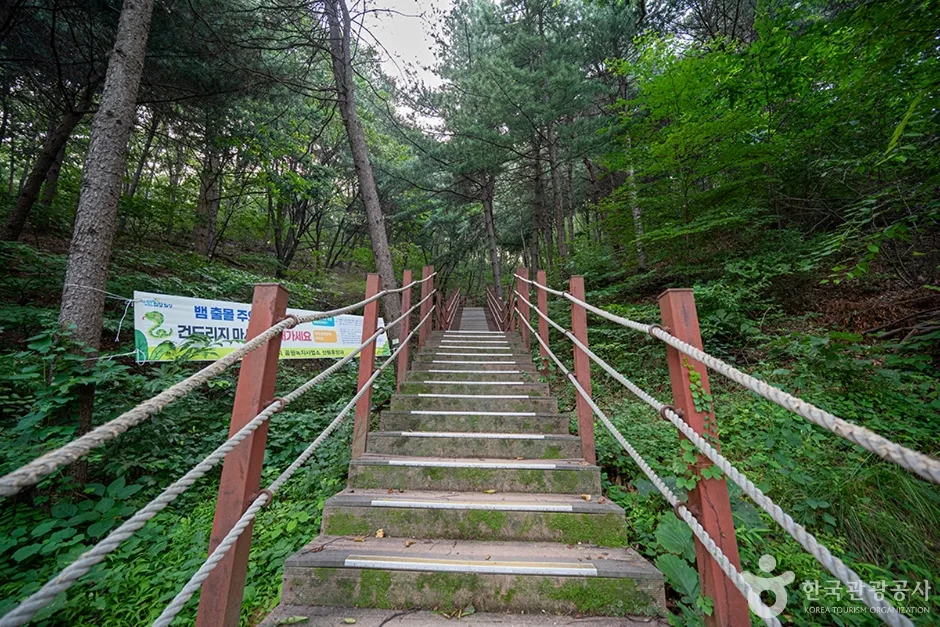 무봉산 (11)