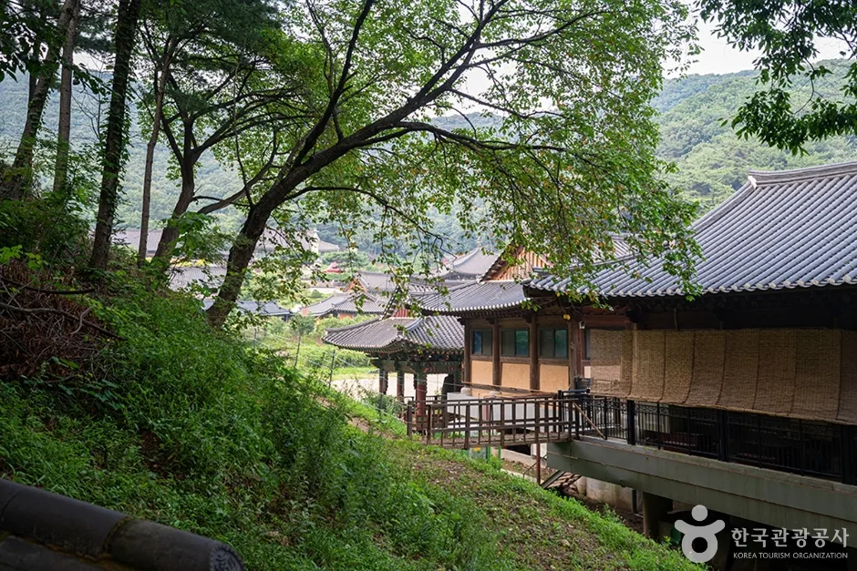 무봉산 (12)