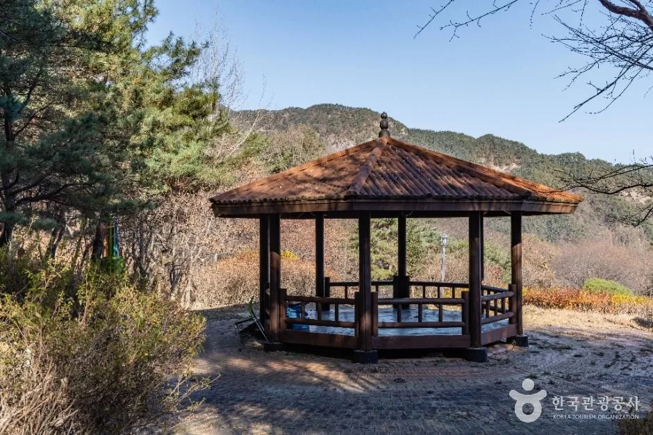 상주_성주봉자연휴양림 (4)