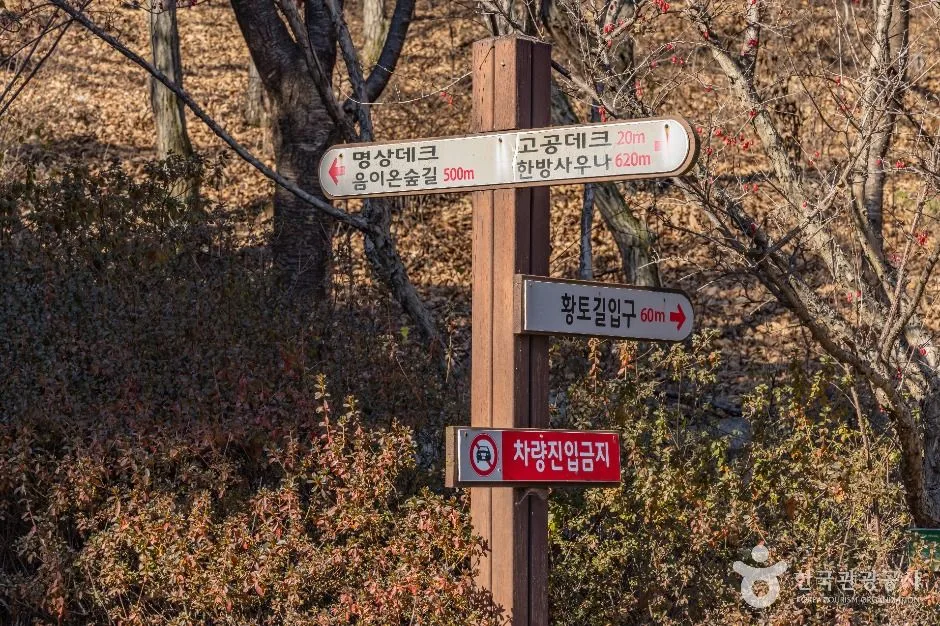 상주_성주봉자연휴양림 (15)