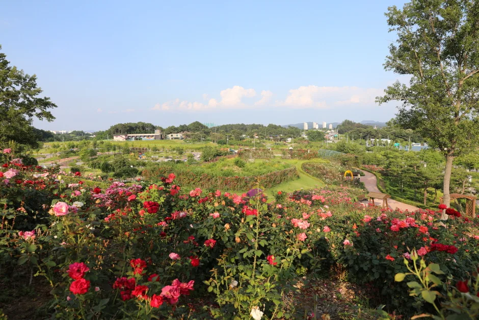 상주_함창명주테마파크공원 (8).jpg
