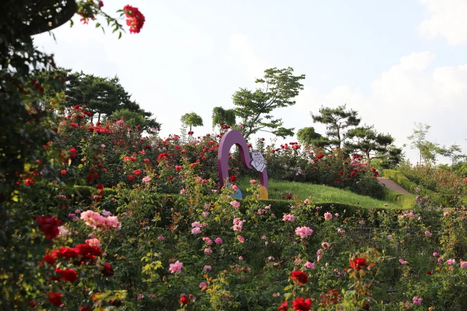 상주_함창명주테마파크공원 (9).jpg