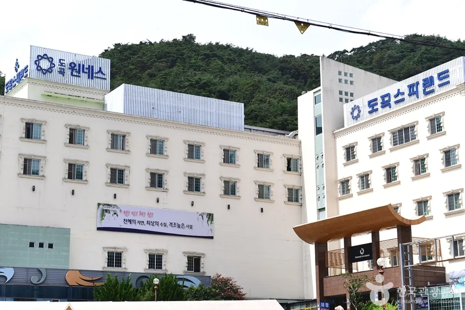 전남_화순_도곡온천단지 (3)