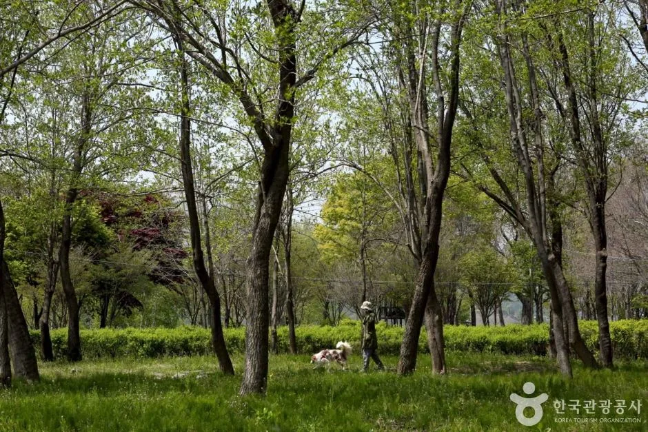 수풀로 양수리 (1)