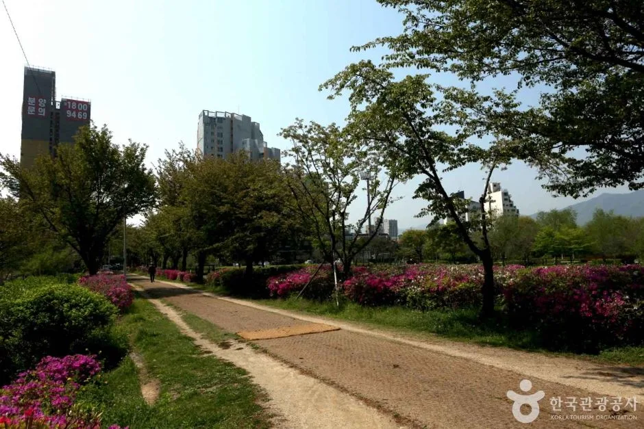 수풀로 양수리 (5)