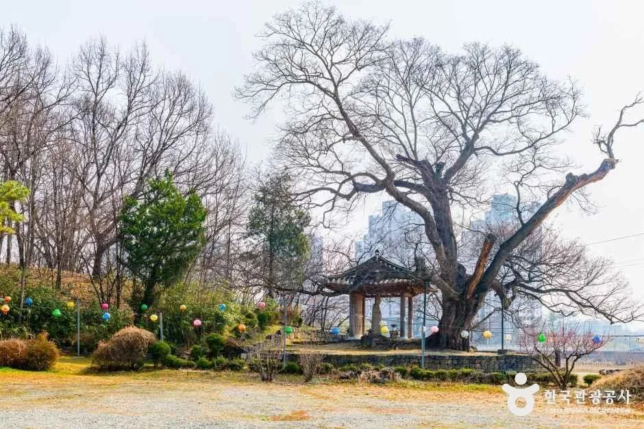 충북_증평_미암리 석조관음보살입상_1.jpg