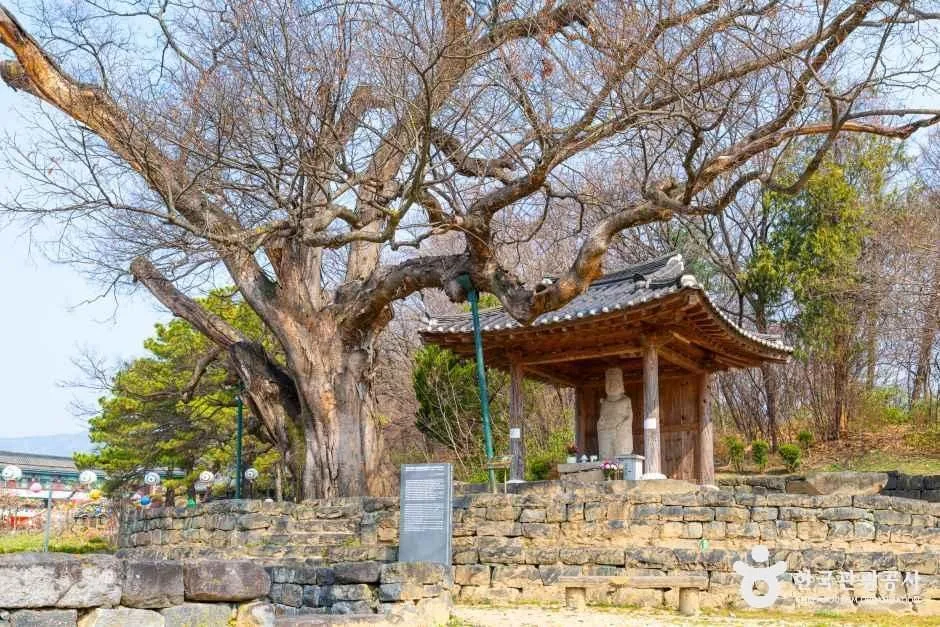 충북_증평_미암리 석조관음보살입상_4.jpg