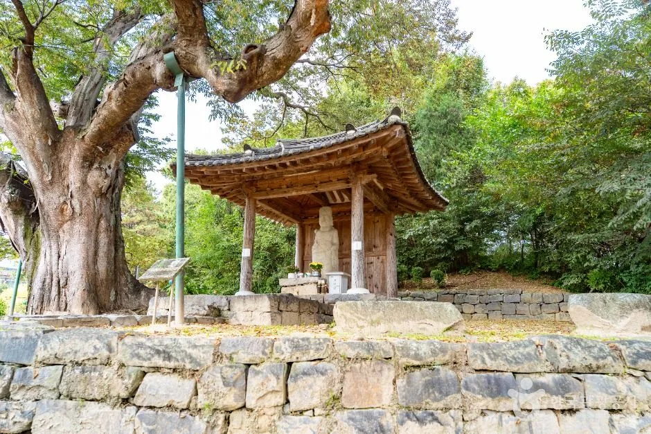 증평_증평 미암리 석조관음보살입상 (5)