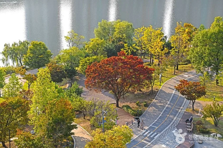 수원_광교 프라이부르크전망대 (4)