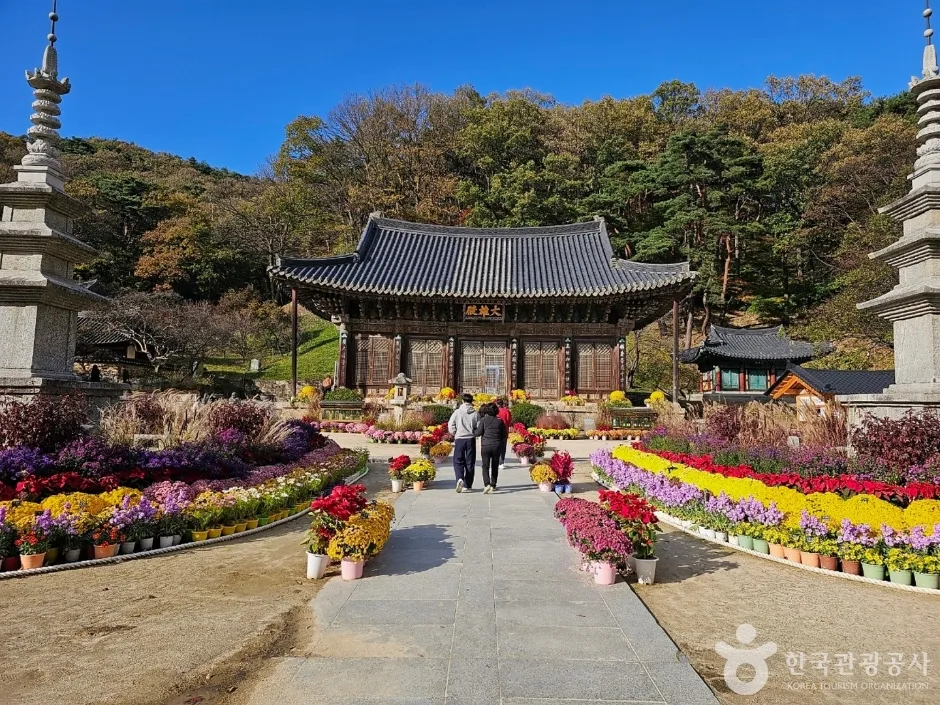 직지사_2
