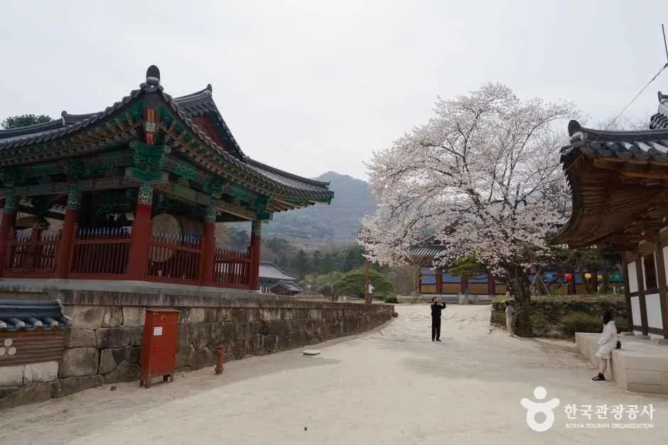 직지사_6