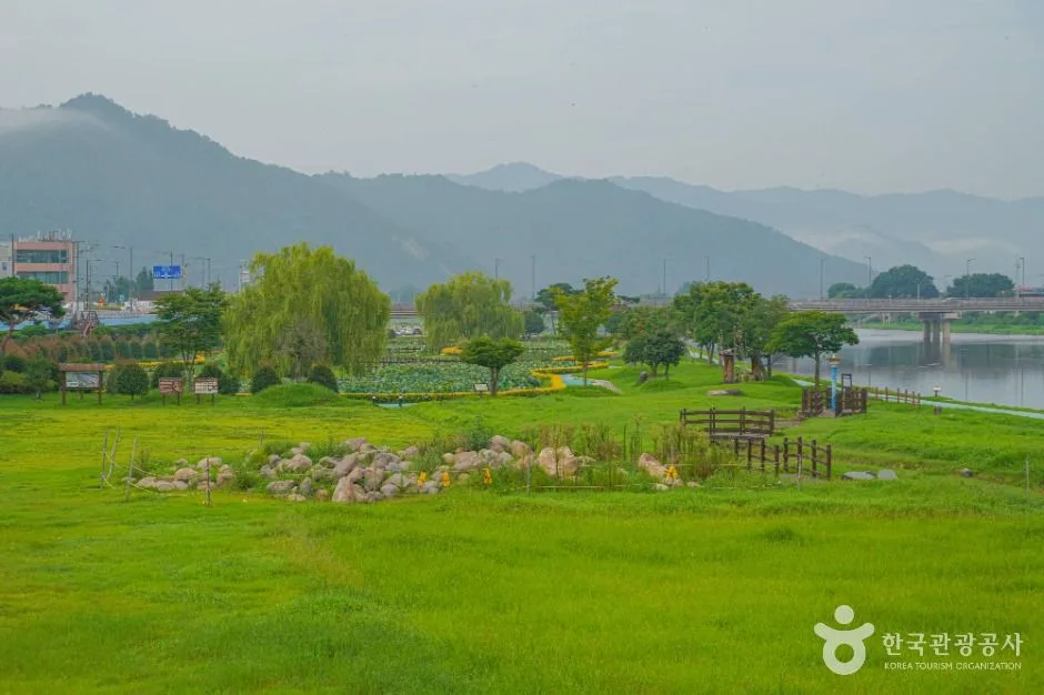 장흥_탐진강 (1)