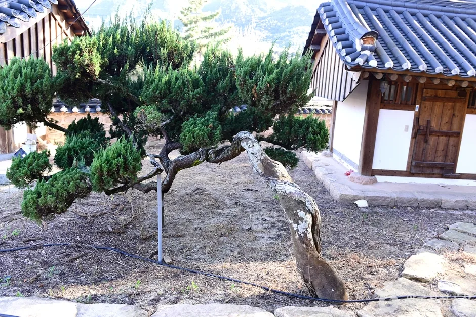 전남_영암_ 영암 수성사 (6)