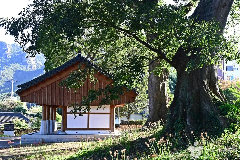 전남_영암_ 영암 수성사 (10)