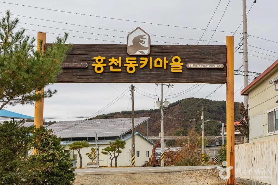 홍천_홍천동키마을 (1)