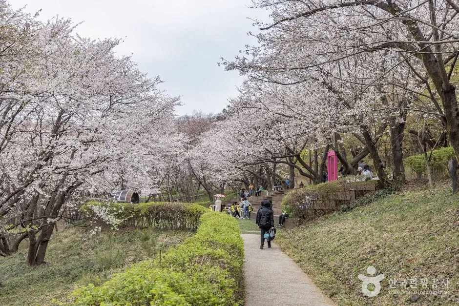 서울_연희숲속쉼터 (2)