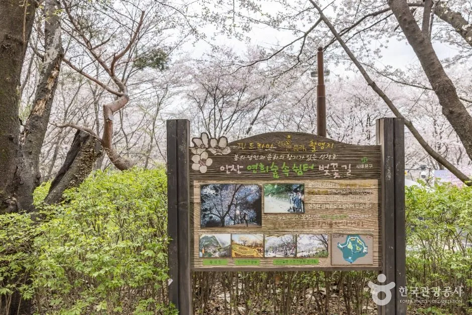 서울_연희숲속쉼터 (5)