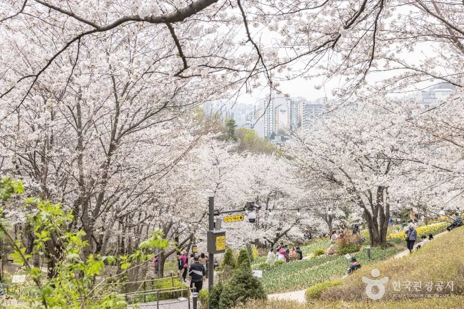 서울_연희숲속쉼터 (6)