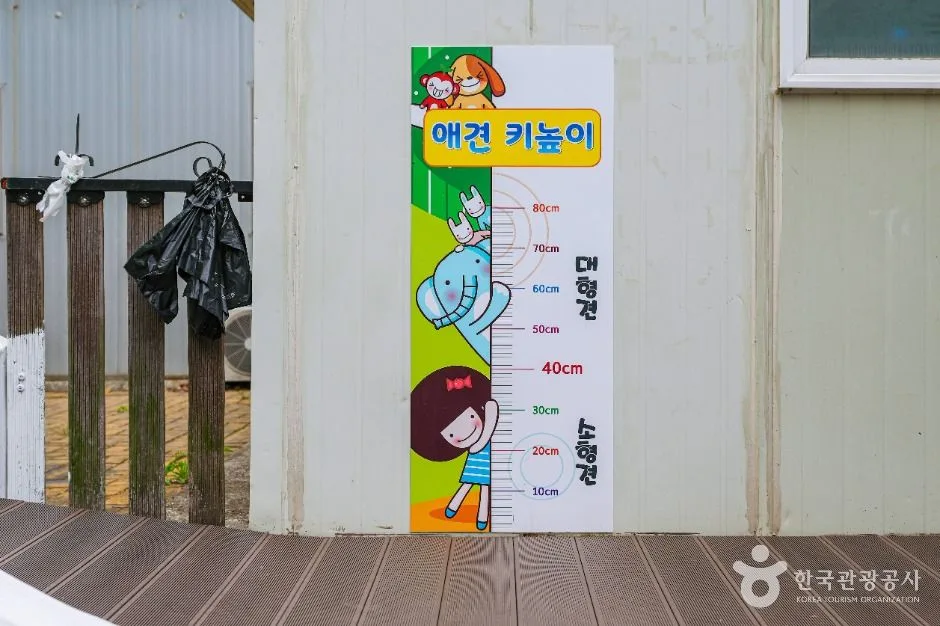 울산_남구_울산애견공원 (5)
