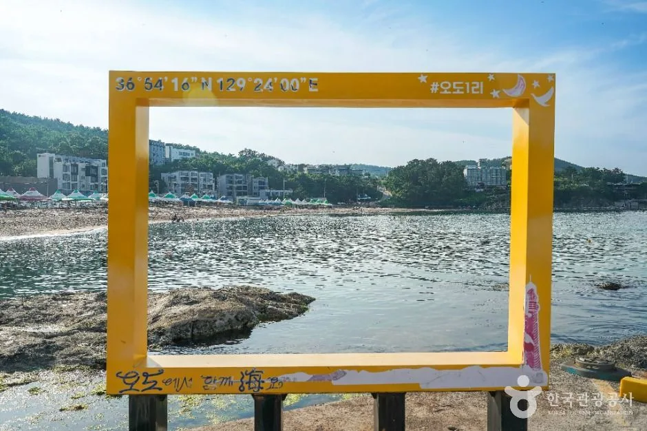 포항_오도1리해수욕장 (1)