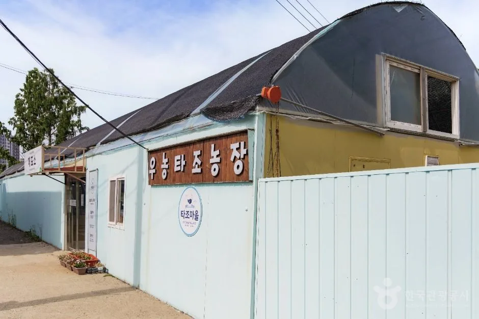 파주_우농타조농장 (1)