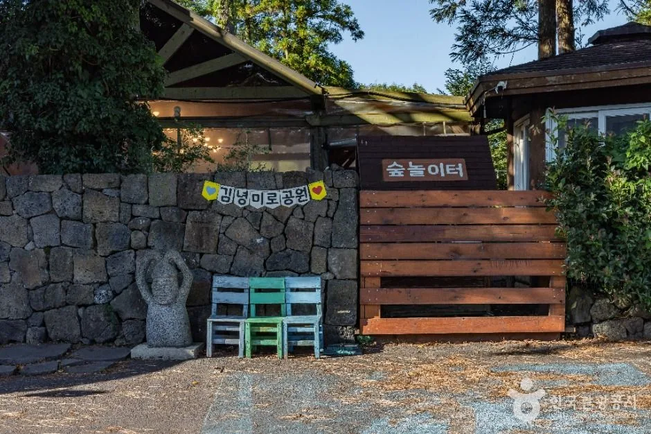 제주_김녕미로공원 (1)