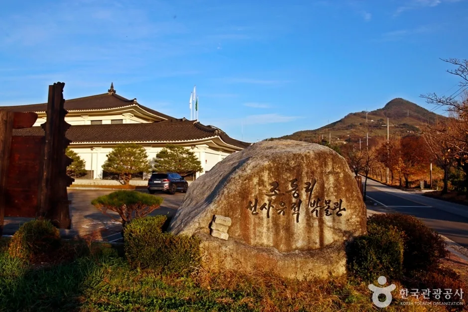 충주 조동리 선사유적 (1)