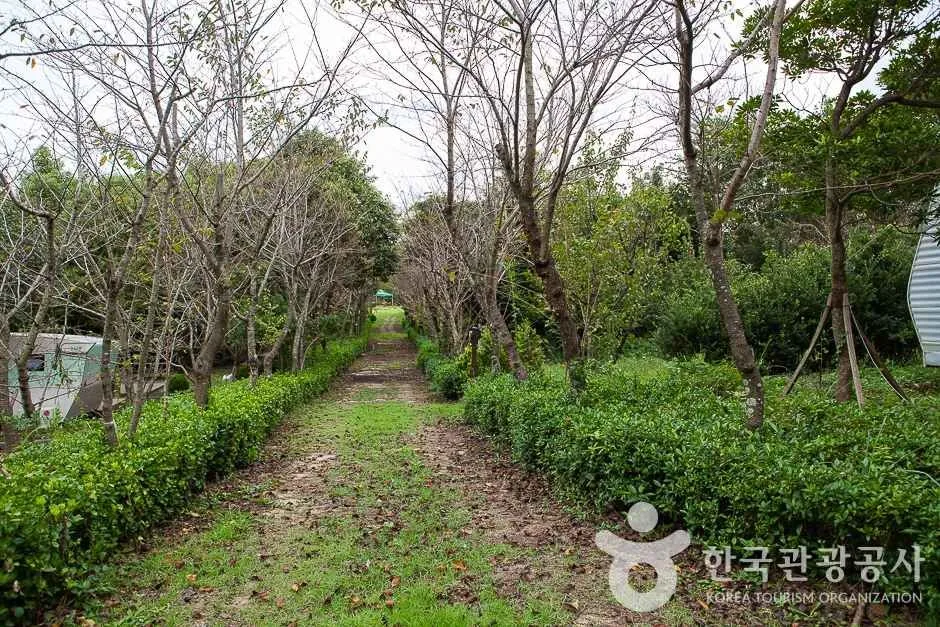 휴림(13)